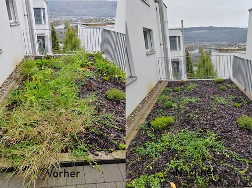 Dachgarten Pflege und Bepflanzung – S|L Garten Fricktal