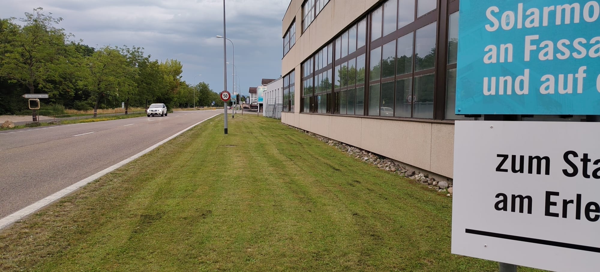 Frisch gemähter Grünstreifen entlang einer Strasse bei einer Gewerbeliegenschaft